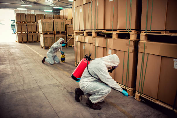  Oildale, CA Pest Control Pros