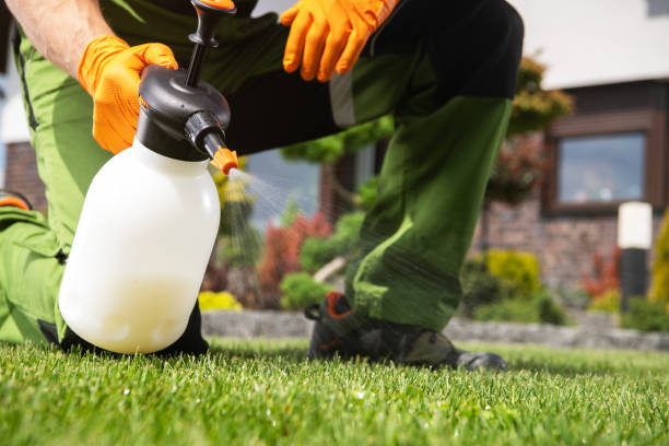 Best Wildlife Control Services  in Oildale, CA
