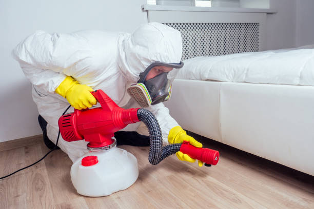 Best Termite Control Services  in Oildale, CA