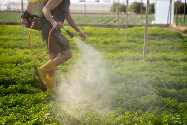 Best Best Pest Control Companies  in Oildale, CA