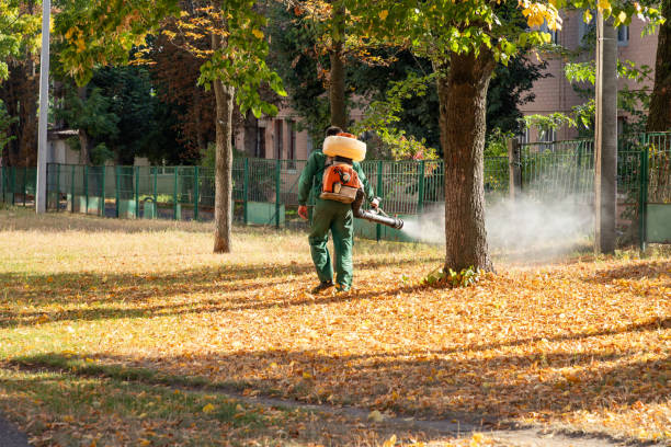 Best Pest Prevention Services  in Oildale, CA