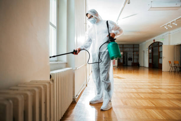 Best Best Pest Control Companies  in Oildale, CA
