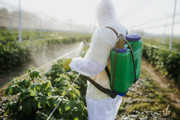 Best Commercial Pest Control Services  in Oildale, CA